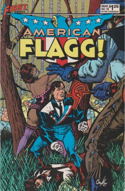 American Flagg #18