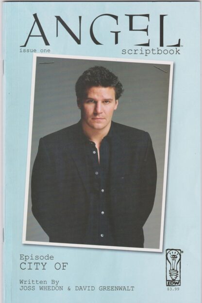 Angel Scriptbook #1B